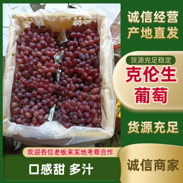 新疆克伦生葡萄一手货源基地直发货源充足欢迎致电