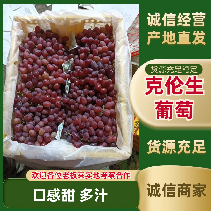 新疆克伦生葡萄一手货源基地直发货源充足欢迎致电