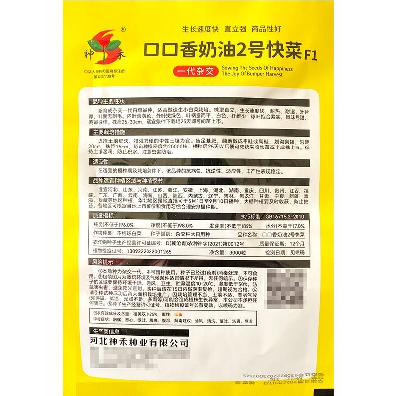 口口香奶油2号快菜种子耐热耐湿肉叶淡黄色风味绵甜
