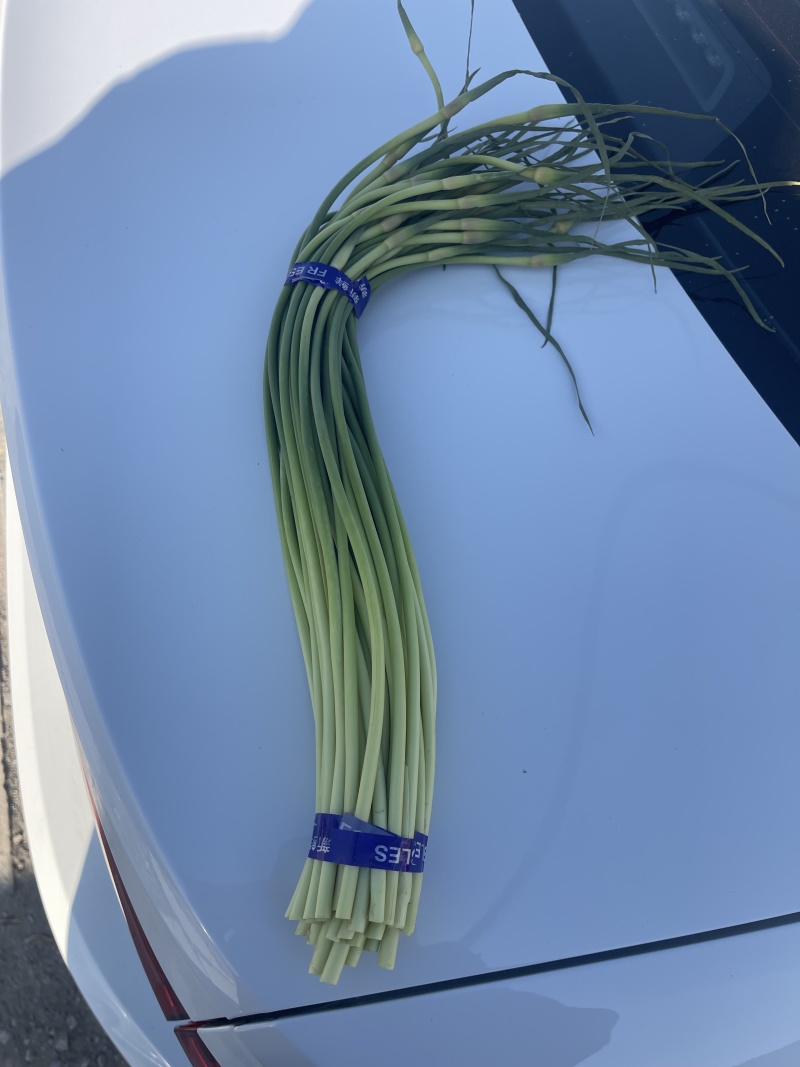 【推荐】金乡红帽蒜苔、大量供应、产地直发、保证质量