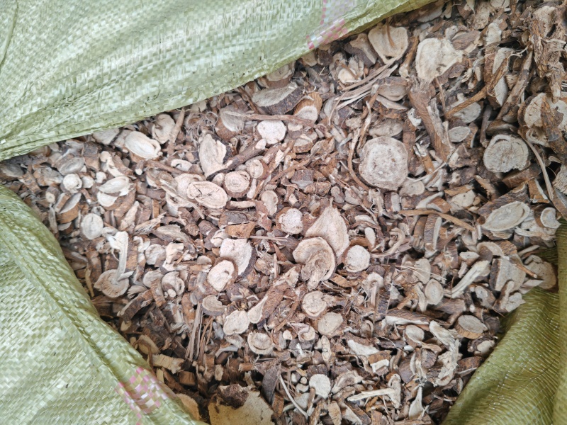 苦参片产地直供量大优惠品质保障视频看货对接全国