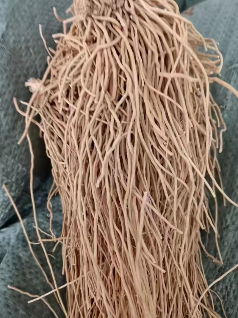 白薇水洗干货基地直发品质保障量大优惠对接全国