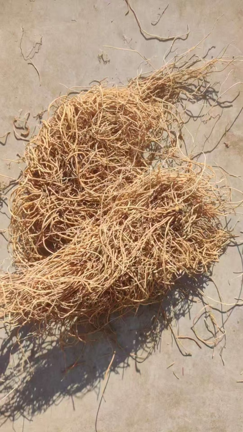 白薇水洗干货基地直发品质保障量大优惠对接全国