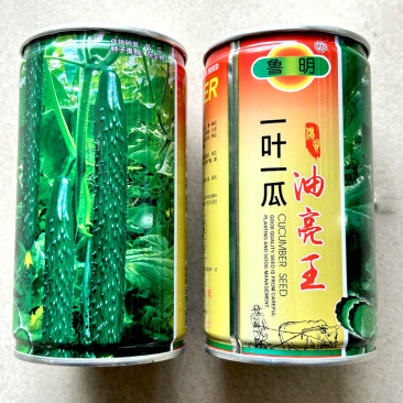 黄瓜种子一叶一瓜黄瓜种子深绿油亮长势强绿皮绿瓤口好