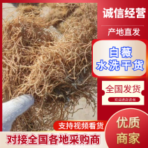 白薇水洗干货基地直发品质保障量大优惠对接全国