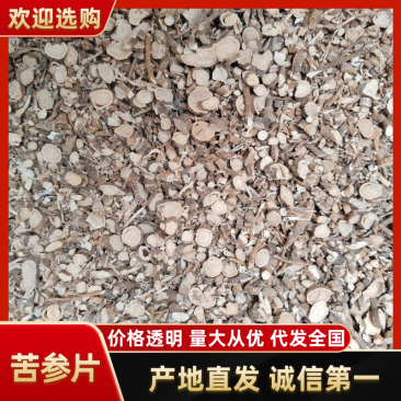 苦参片产地直供量大优惠品质保障视频看货对接全国