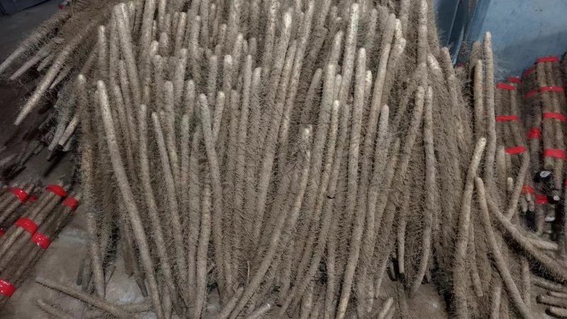 毛山药山西山药产地一手货源品质保障量大优惠