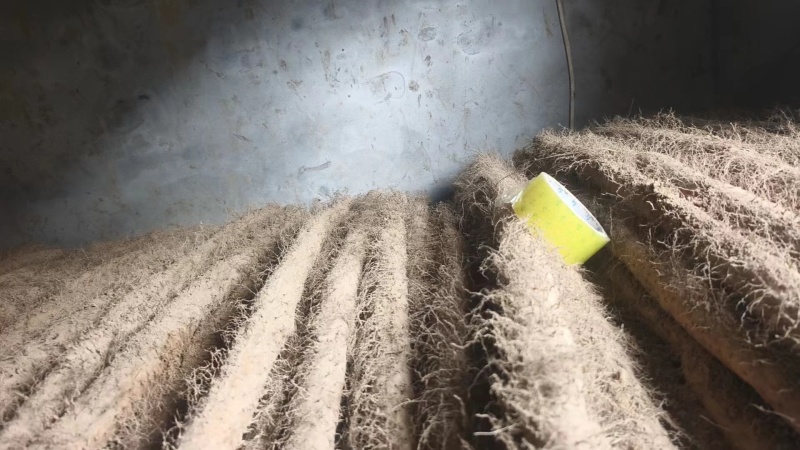 毛山药山西山药产地一手货源品质保障量大优惠