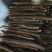 毛山药山西山药产地一手货源品质保障量大优惠