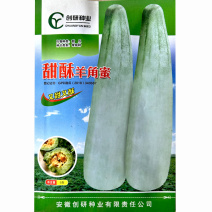 羊角蜜种子甜酥羊角酥又甜又酥易坐果产量高瓜农基地
