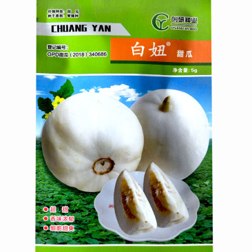 白妞甜瓜种子薄皮甜瓜新品种早熟口感细脆甜爽白皮白肉