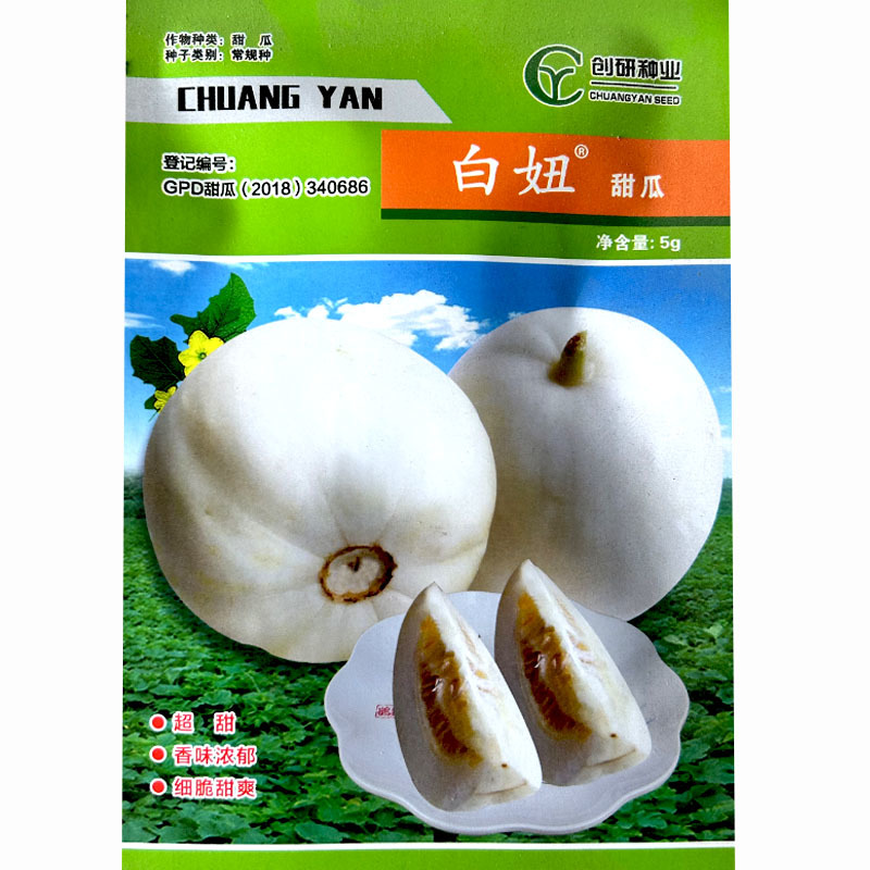 白妞甜瓜种子薄皮甜瓜新品种早熟口感细脆甜爽白皮白肉