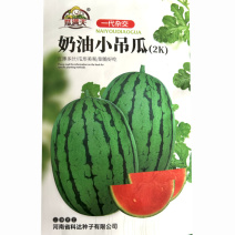 奶油小吊瓜西瓜种子2K早熟小西瓜80天上市基地品种