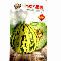 八里香甜瓜种子杂交肉质绿色瓜香味含糖高大田基地种