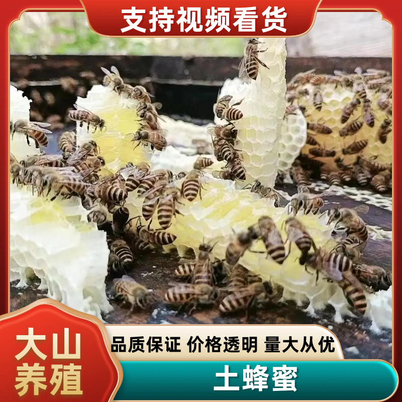 农家土蜂蜜深山蜂蜜农户自产自销保质保量欢迎咨询