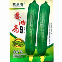 苏油亮1号丝瓜高产短棒油皮丝瓜种耐热油丝瓜水瓜种子10克