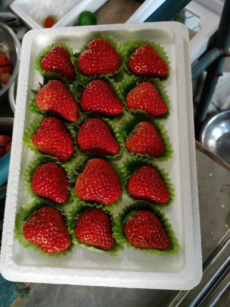{诚信商家}久久草莓甜果，产地鲜货直发，量大价优