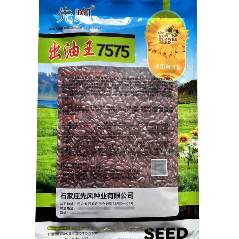 出油王7575油葵种子抗倒大弯头高油耐旱油葵种籽葵花籽高