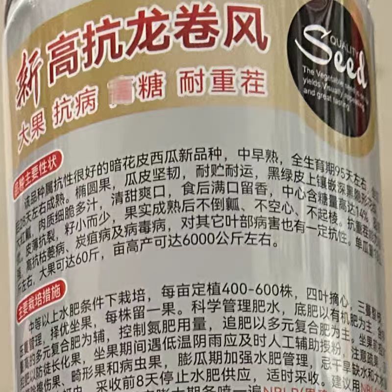 新高抗龙卷风西瓜种子抗重茬大果黑绿皮懒汉西瓜种子