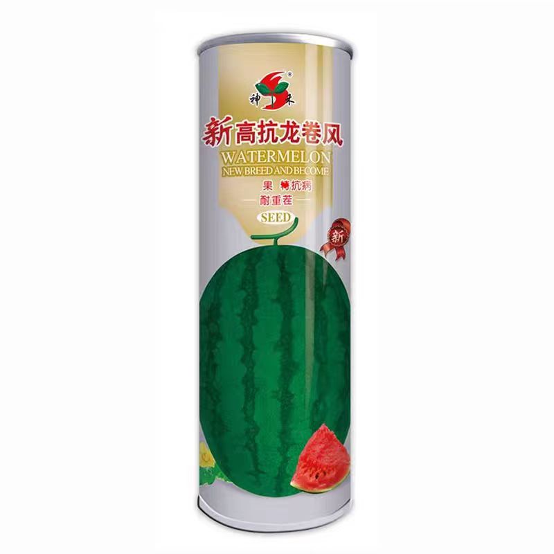 新高抗龙卷风西瓜种子抗重茬大果黑绿皮懒汉西瓜种子