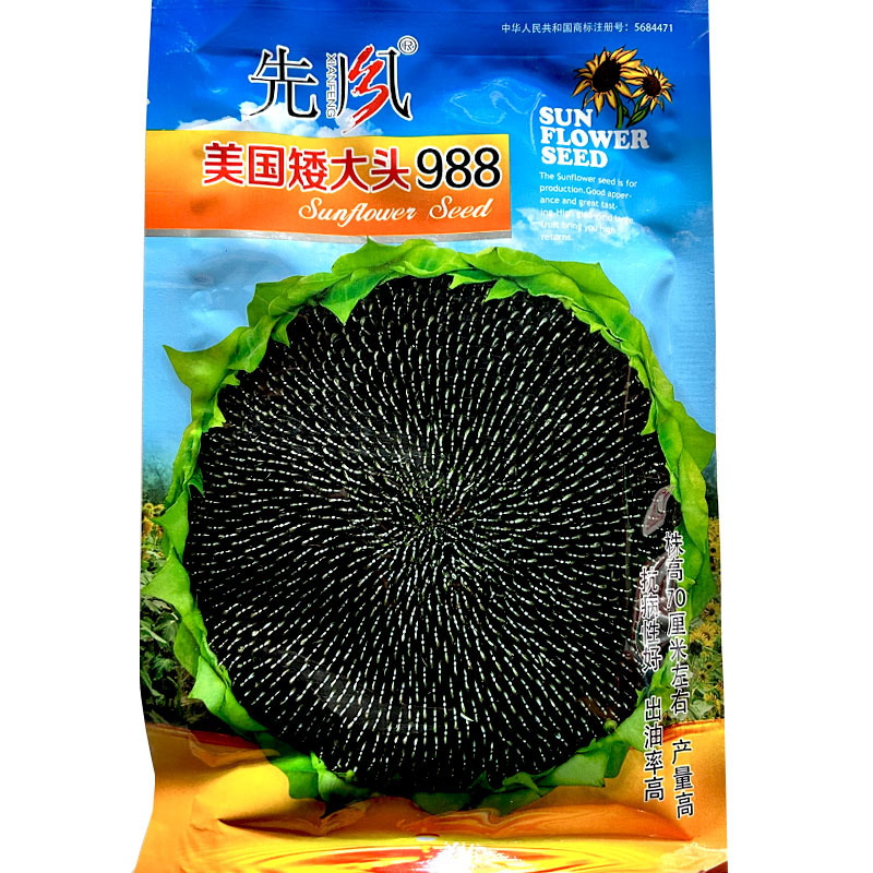 美国矮大头988食用向日葵种子特大高产瓜子饱满油葵种子大