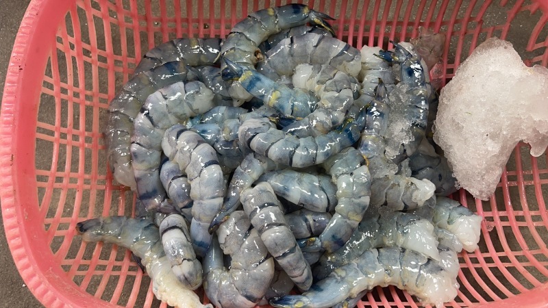黑虎虾仁源头生产贸易，支持全规格订做，欢迎批发代理