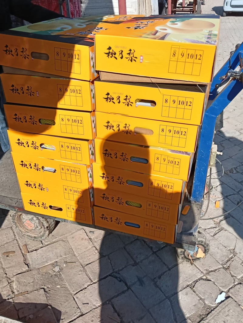 【热卖】精品秋月梨大量上市包装精美价格合适货源充足