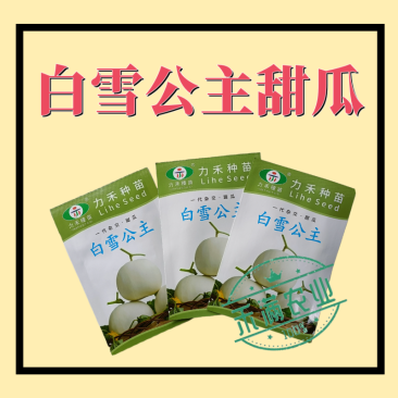 力禾种苗白雪公主甜瓜种子白皮白绿肉甜度高香味细腻浓香抗病