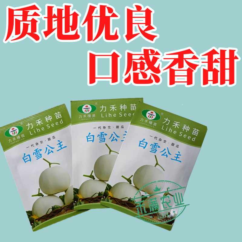 力禾种苗白雪公主甜瓜种子白皮白绿肉甜度高香味细腻浓香抗病