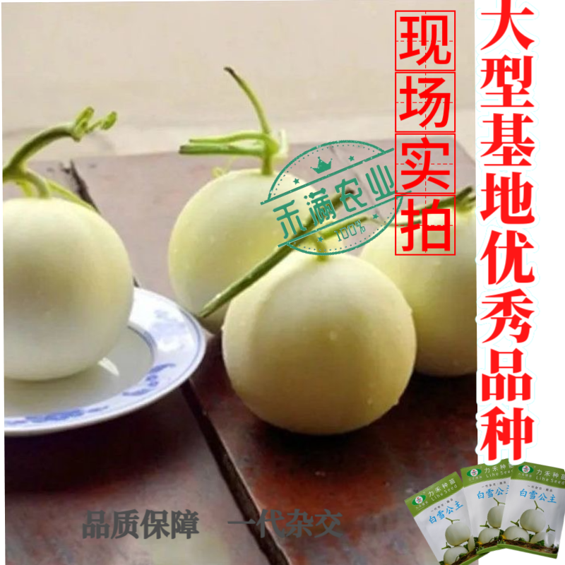 力禾种苗白雪公主甜瓜种子白皮白绿肉甜度高香味细腻浓香抗病