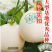 力禾种苗白雪公主甜瓜种子白皮白绿肉甜度高香味细腻浓香抗病