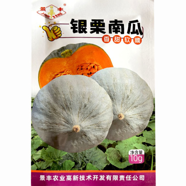 银栗南瓜种子蛋黄南瓜粉糯香甜板栗南瓜基地品种