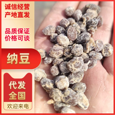纳豆盐豆常年供应品质保证量大从优对接全国市场