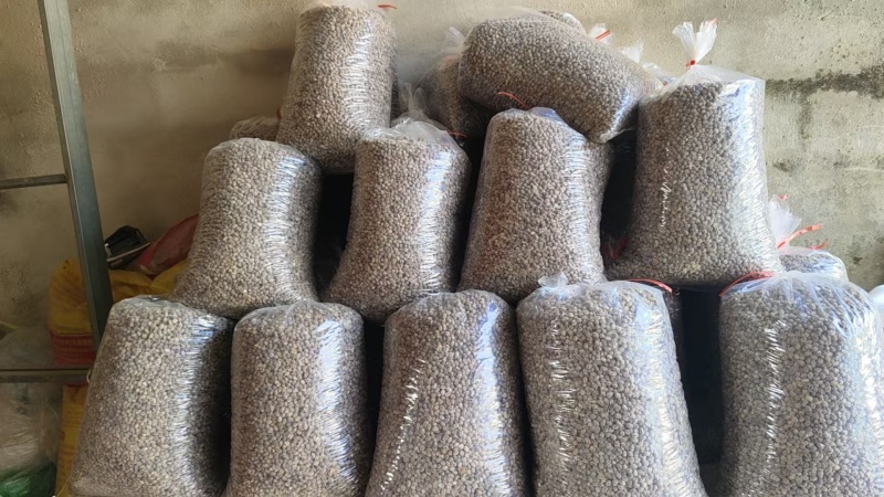 纳豆盐豆常年供应品质保证量大从优对接全国市场