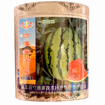 景丰沙漠蜜宝3号西瓜种子大果沙瓤高产薄皮高糖