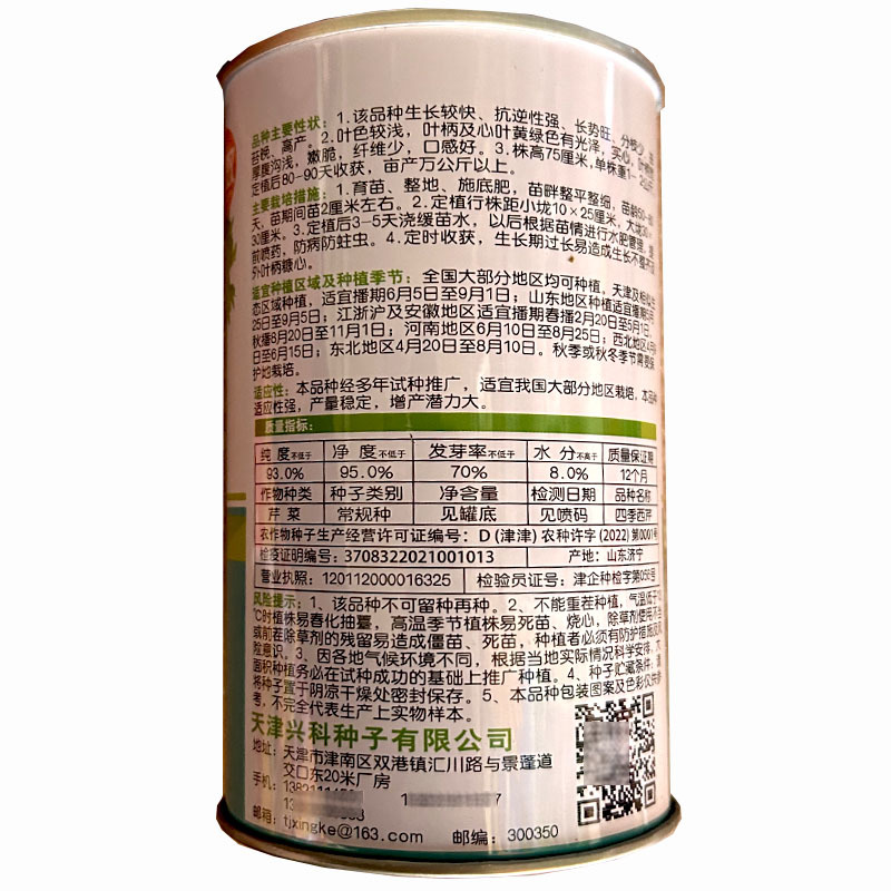 四季西芹种子实心纤维少脆嫩高产抗病大田基地品种
