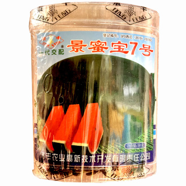 景蜜宝7号西瓜种子抗重茬墨绿皮西瓜种籽中早熟花皮大红瓤