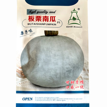 板栗南瓜种子栗子味银灰色易座果口感细腻基地品种