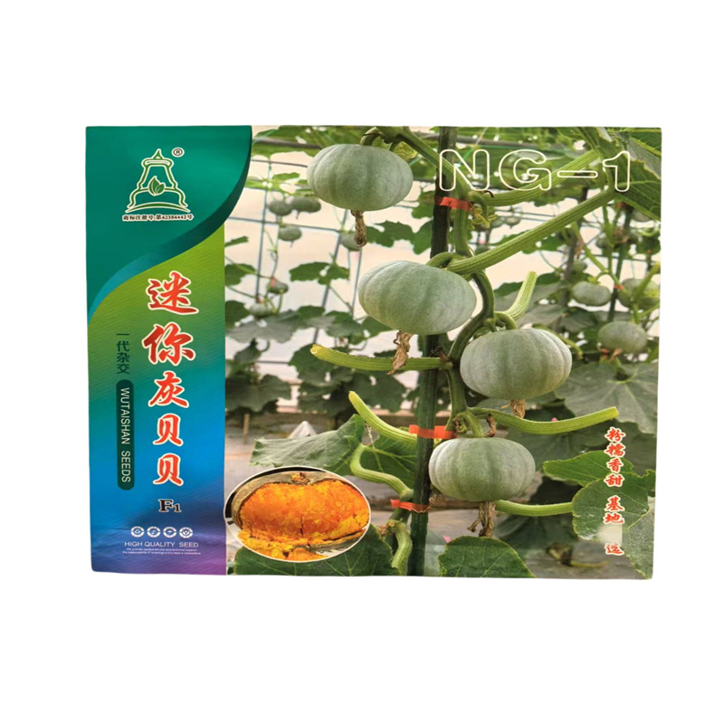 迷你灰贝贝南瓜种子杂交一代迷你小南瓜种子
