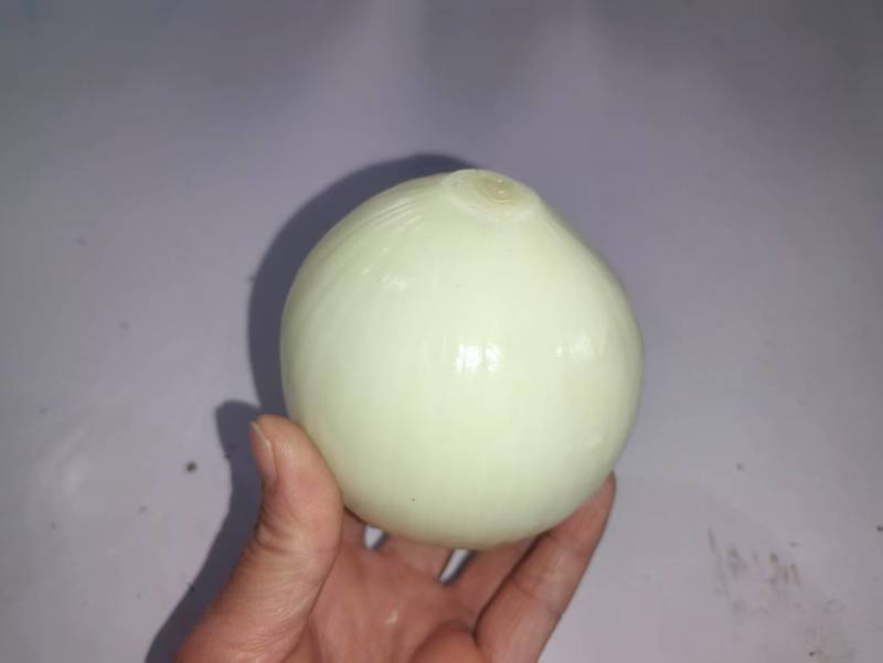 精品黄皮洋葱扒皮洋葱对接电商市场商超