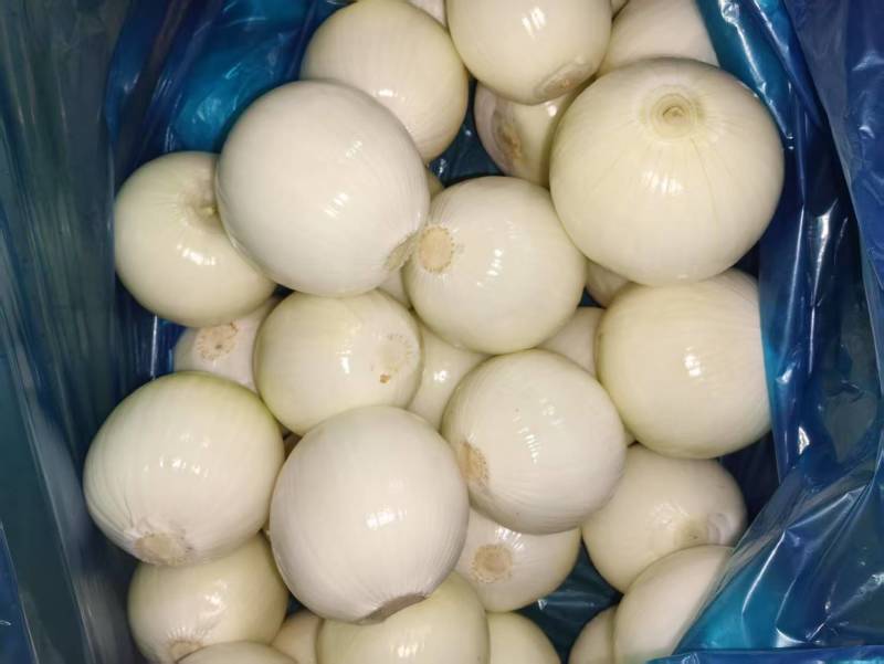 精品黄皮洋葱扒皮洋葱对接电商市场商超