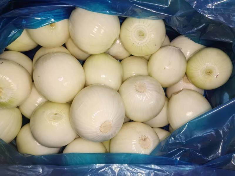 精品黄皮洋葱扒皮洋葱对接电商市场商超