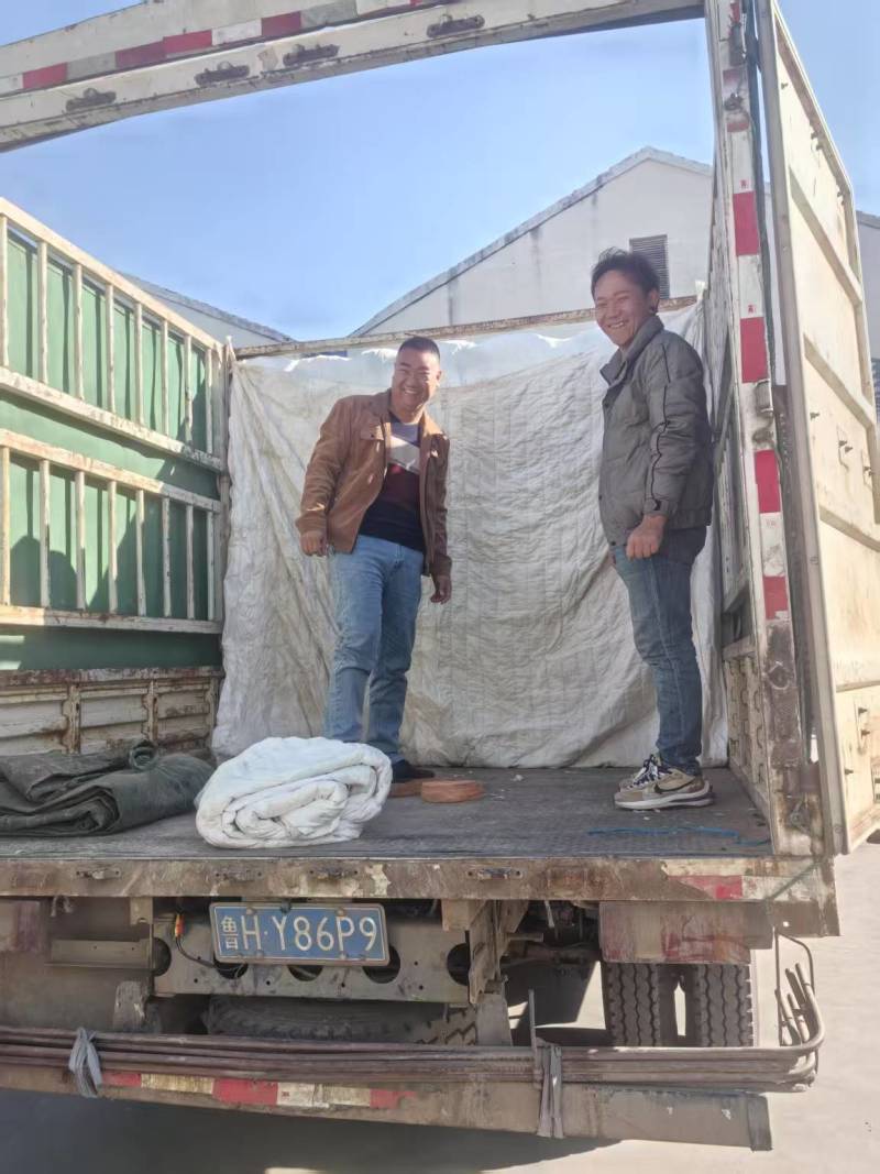山东大蒜金乡大蒜基地直发对接电商市场商超保质保量