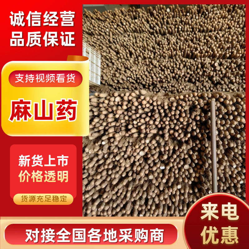 {诚信商家}安阳麻山药大量出货，视频看货，量大从优