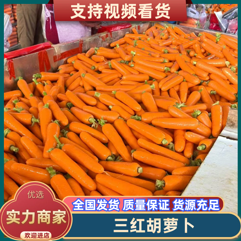 【精选】河南开封三红胡萝卜-产地直发-量大从优-价格优惠