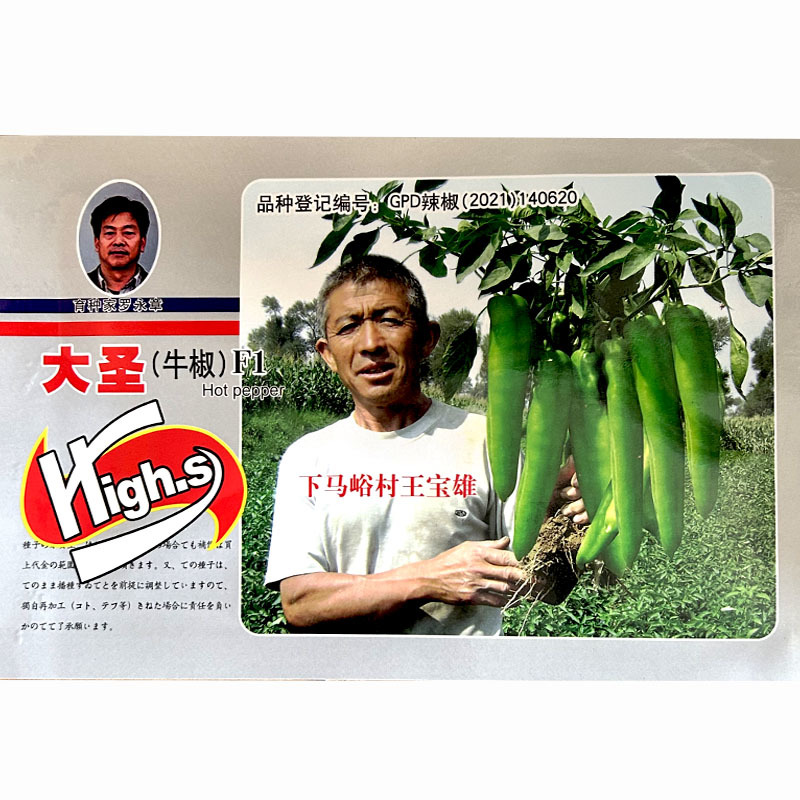 特大牛角椒辣椒苗秧四季春秋阳台盆栽带土球青椒羊角线薄皮椒