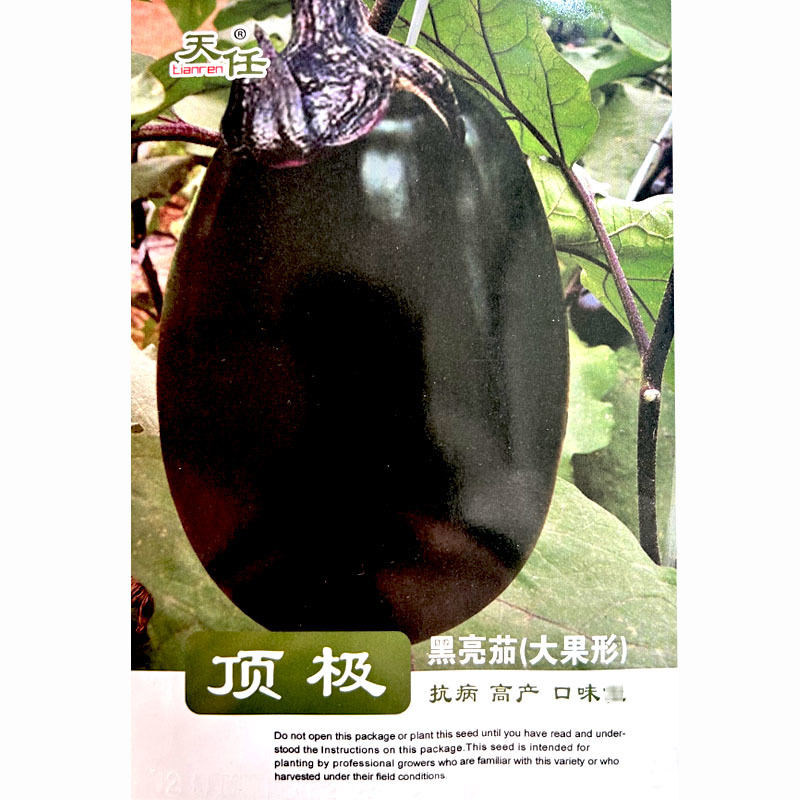 牛心茄种子天任黑亮茄大果早熟5g抗病早春露地种植