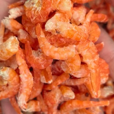 干虾烤虾干大量有货散装精装全国发货