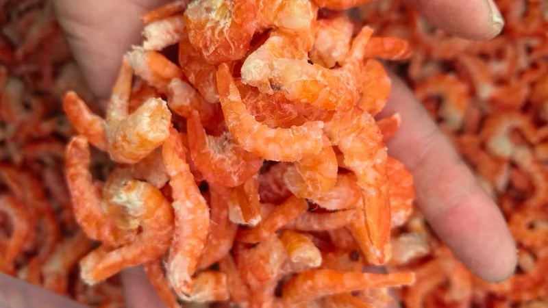 干虾烤虾干大量有货散装精装全国发货