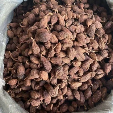 草果中草药